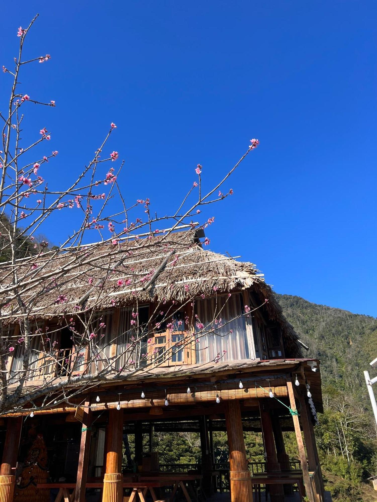 Ta Xua Ecolodge Bac Yen Eksteriør billede