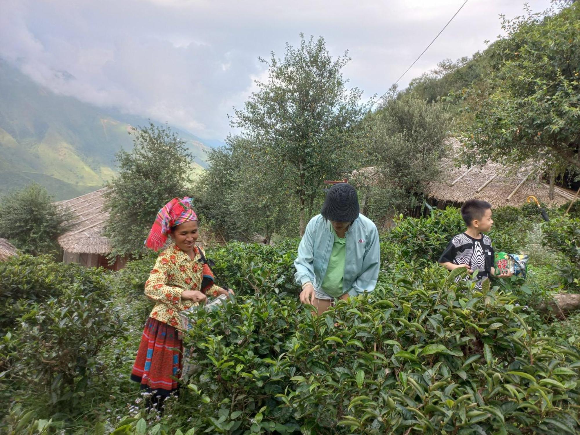 Ta Xua Ecolodge Bac Yen Eksteriør billede